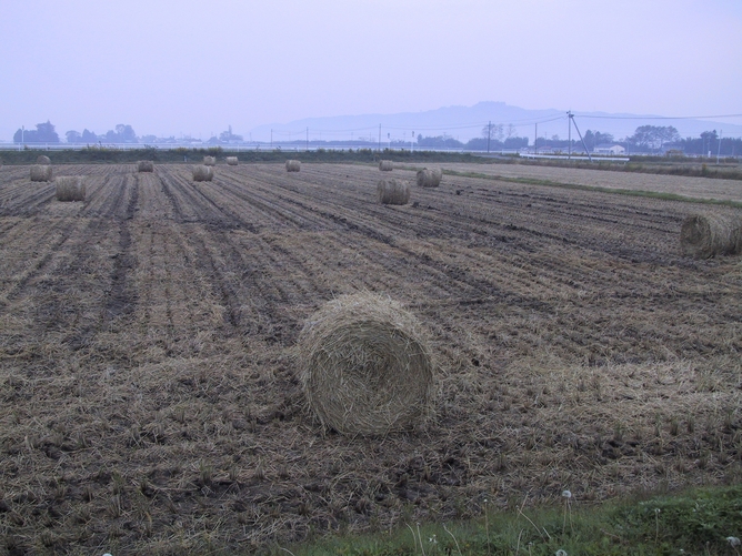 201111042IMG_0345.JPG