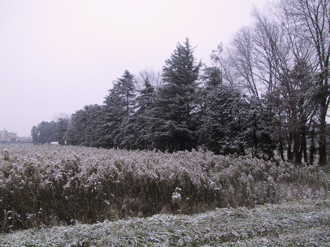 121204_01.jpg