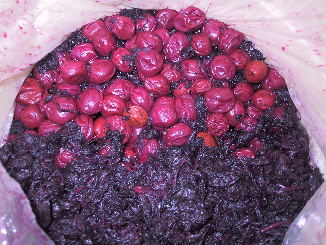 umeboshi.jpg