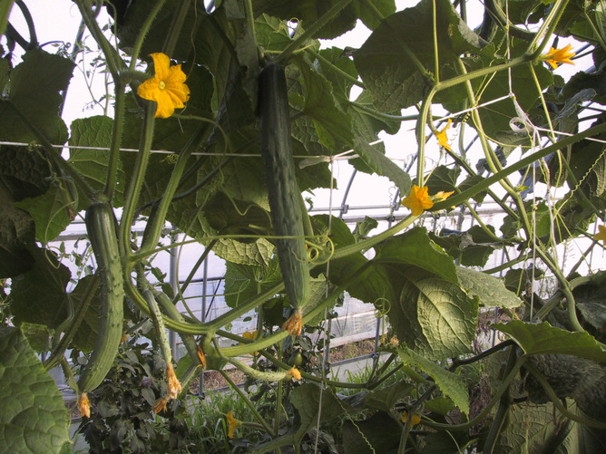 20130813_01.jpg