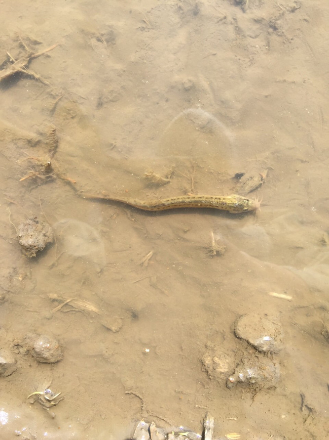 150612_06.jpg